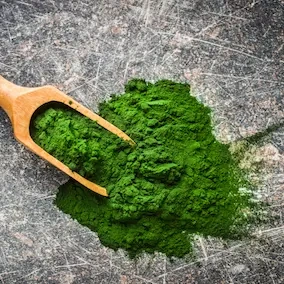 Chlorella.webp