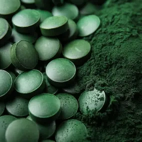 Spirulina.webp